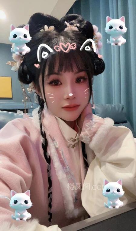 全国免费楼凤资源