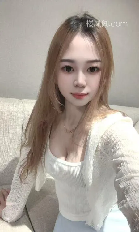 全国免费楼凤资源