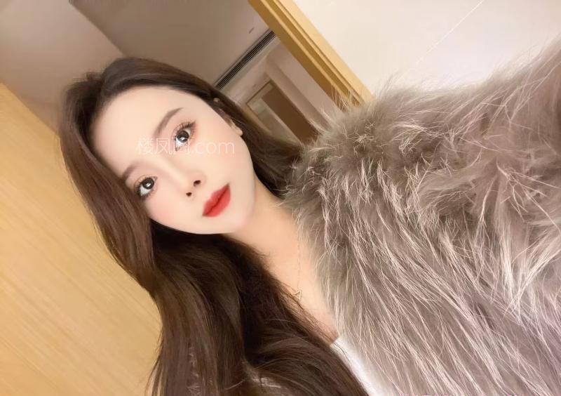 全国免费楼凤资源