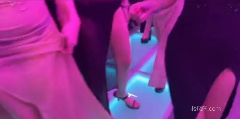 全国免费楼凤资源