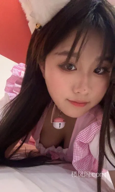 全国免费楼凤资源