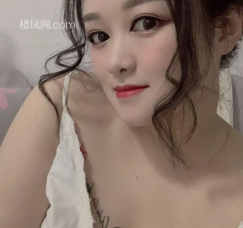 全国免费楼凤资源