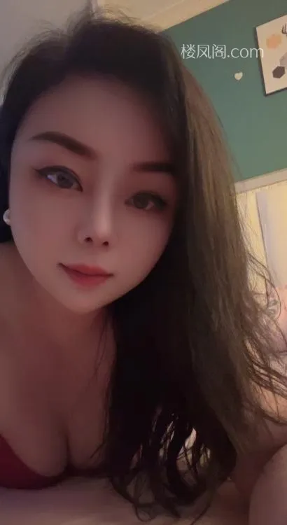 全国免费楼凤资源