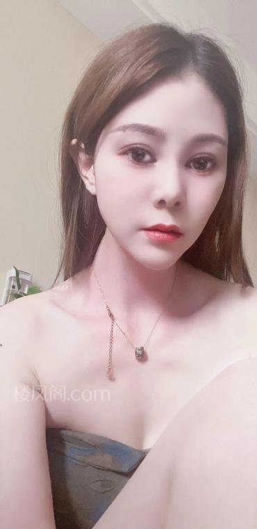 全国免费楼凤资源