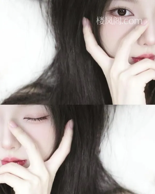 全国免费楼凤资源