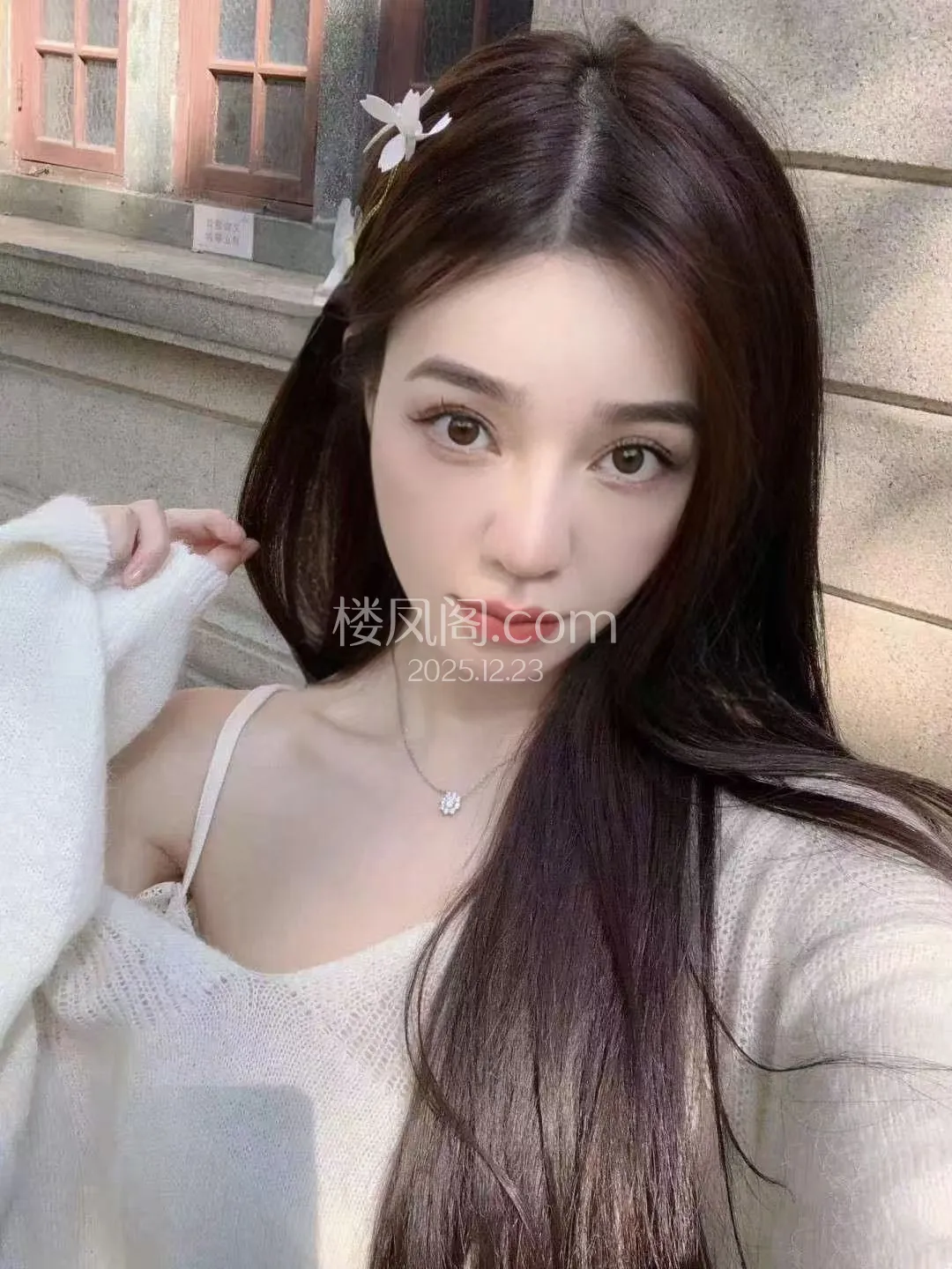 全国免费楼凤资源