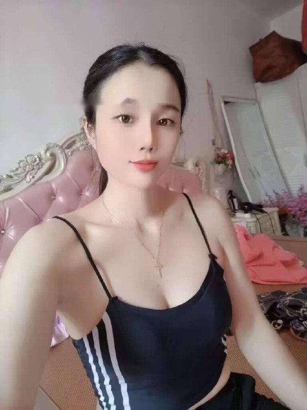 全国免费楼凤资源