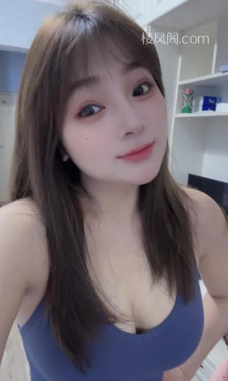 全国免费楼凤资源