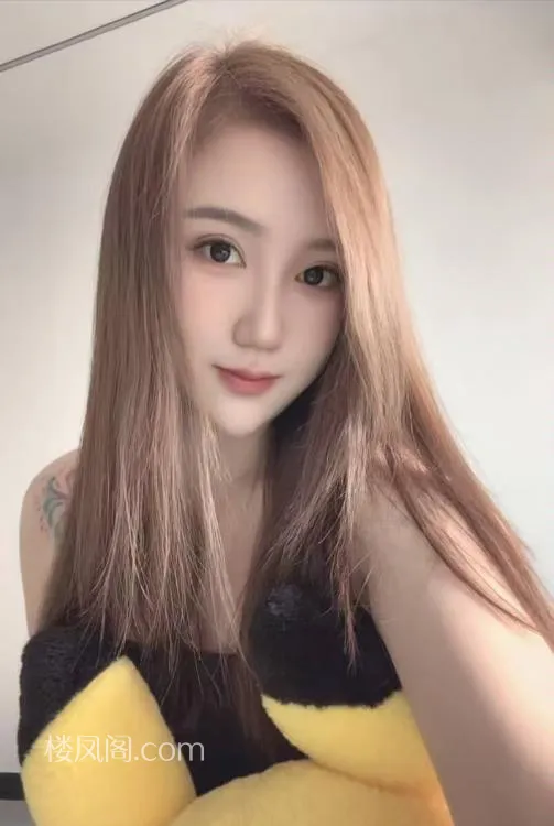 全国免费楼凤资源