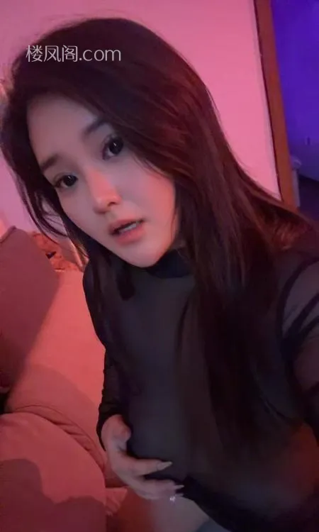 全国免费楼凤资源