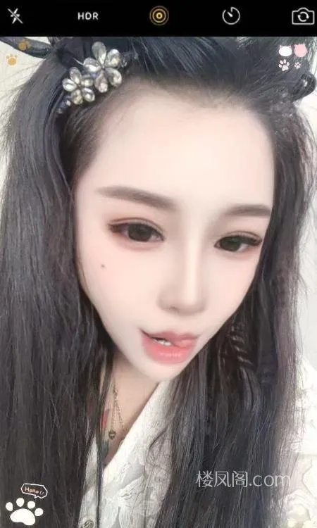 全国免费楼凤资源