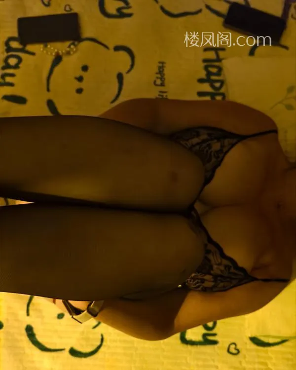 全国免费楼凤资源