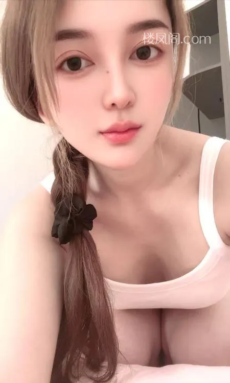 全国免费楼凤资源