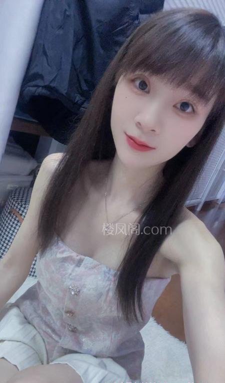 全国免费楼凤资源