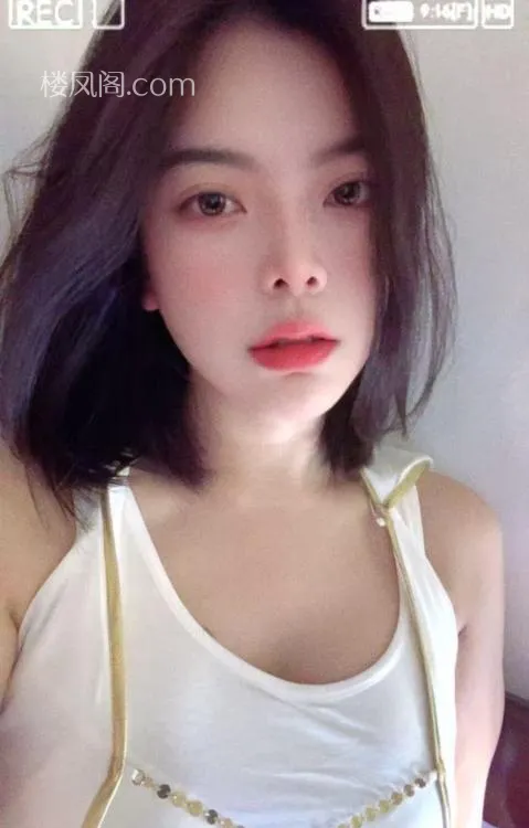 全国免费楼凤资源