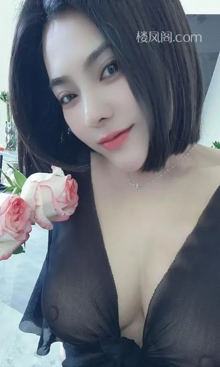 全国免费楼凤资源