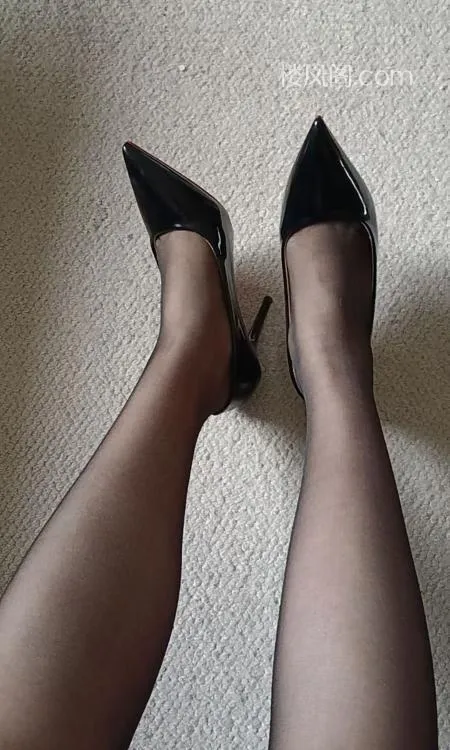 全国免费楼凤资源