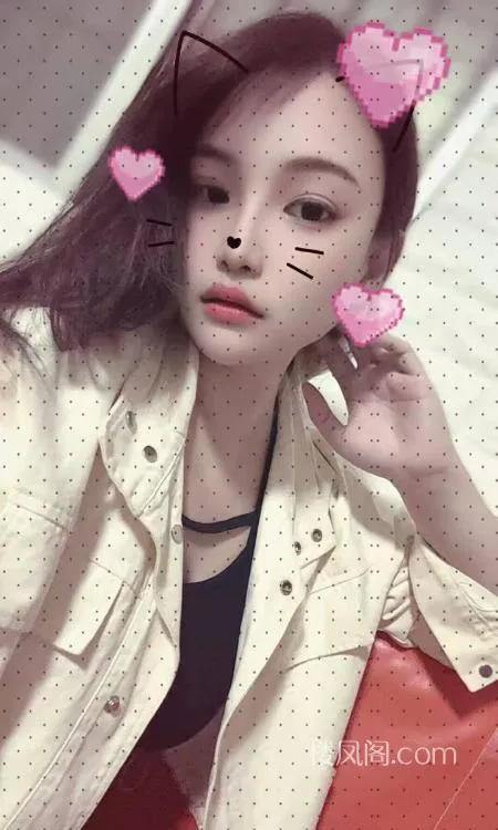 全国免费楼凤资源