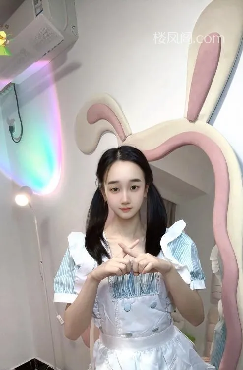 全国免费楼凤资源