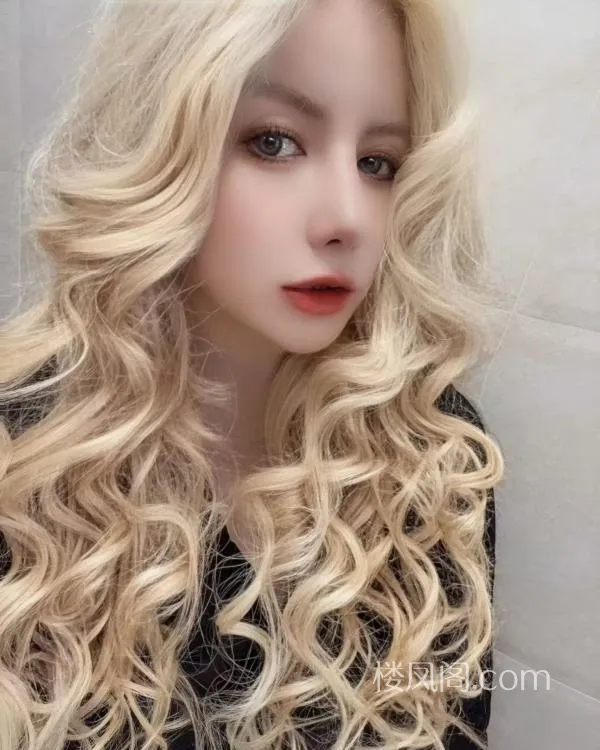 全国免费楼凤资源