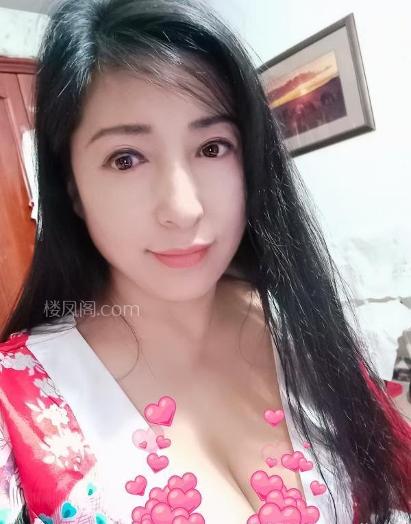 全国免费楼凤资源