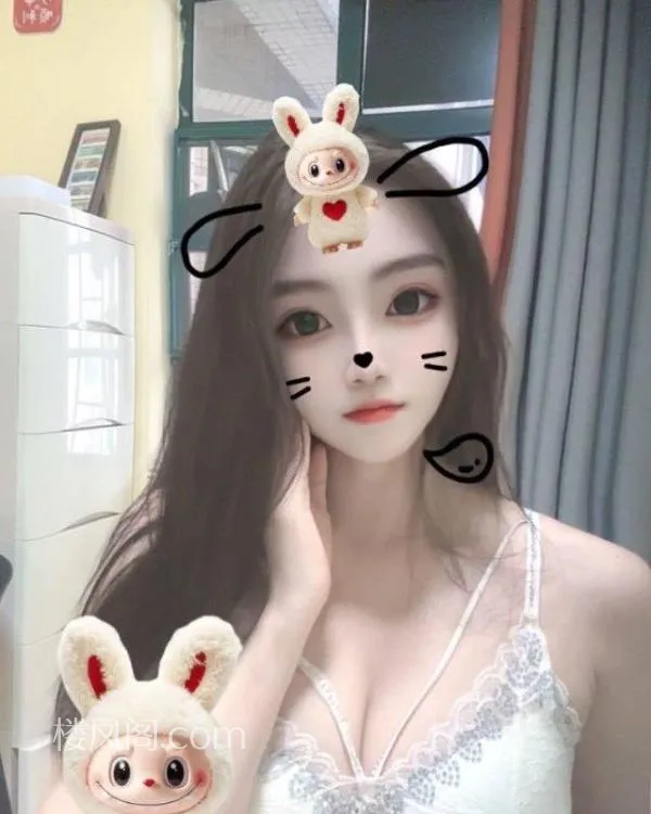 全国免费楼凤资源