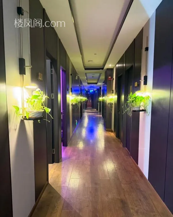 全国免费楼凤资源