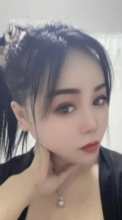 全国免费楼凤资源