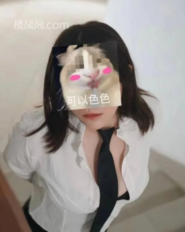 全国免费楼凤资源