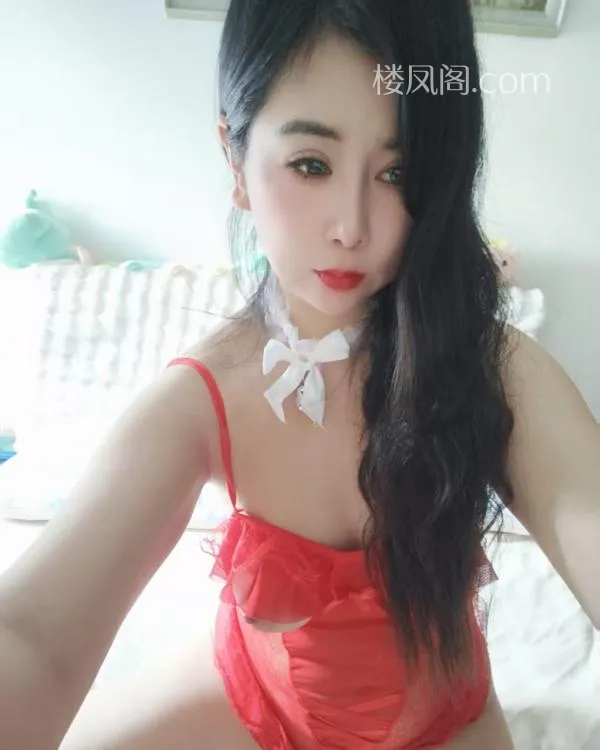 全国免费楼凤资源