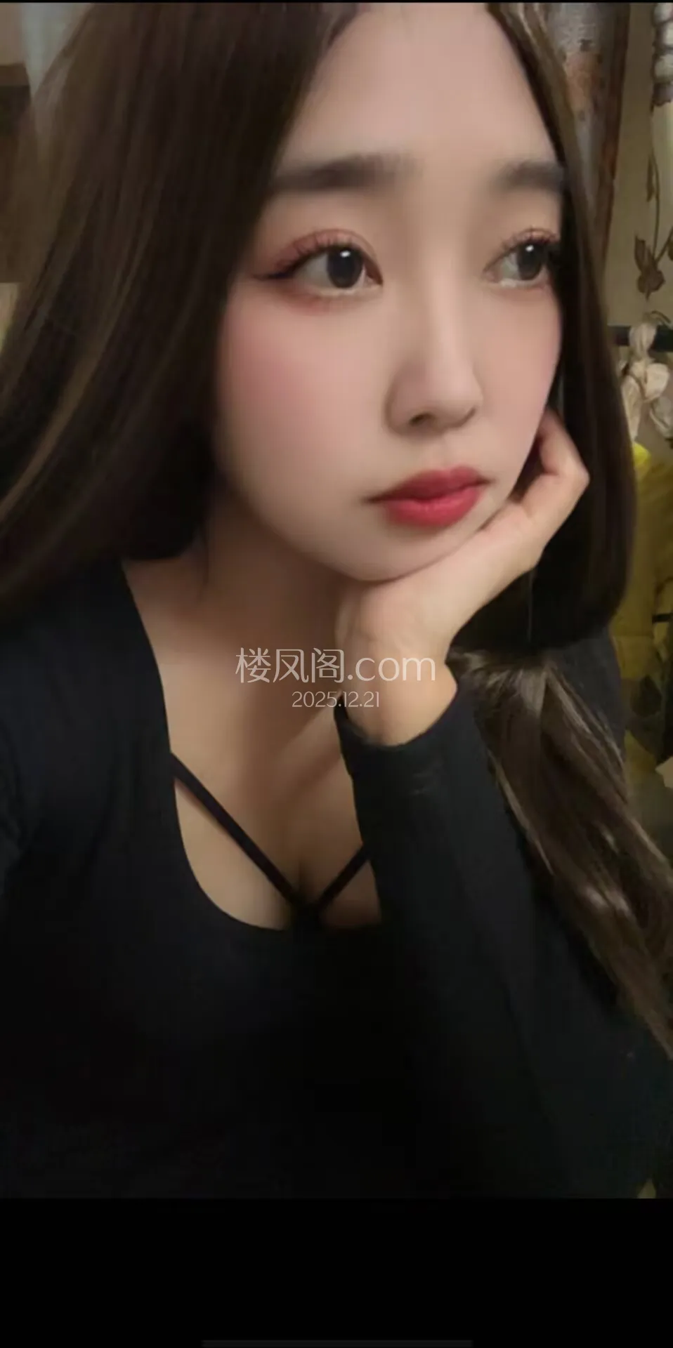 全国免费楼凤资源