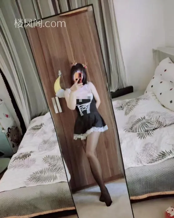 全国免费楼凤资源