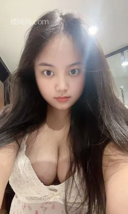 全国免费楼凤资源