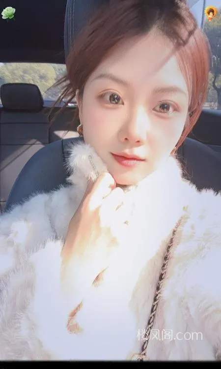 全国免费楼凤资源