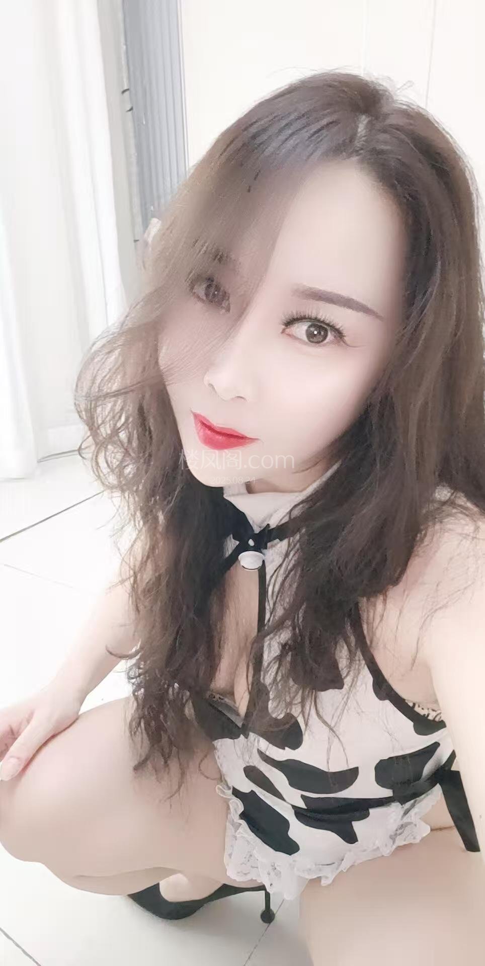 全国免费楼凤资源