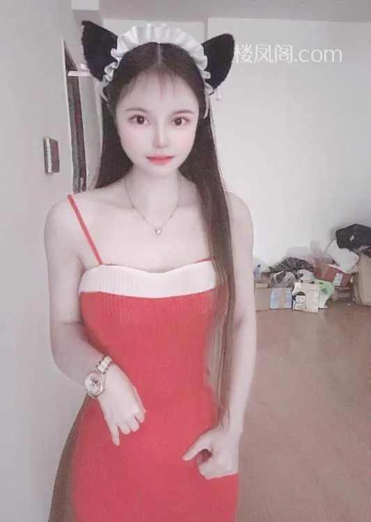 全国免费楼凤资源