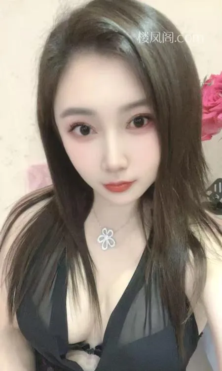 全国免费楼凤资源