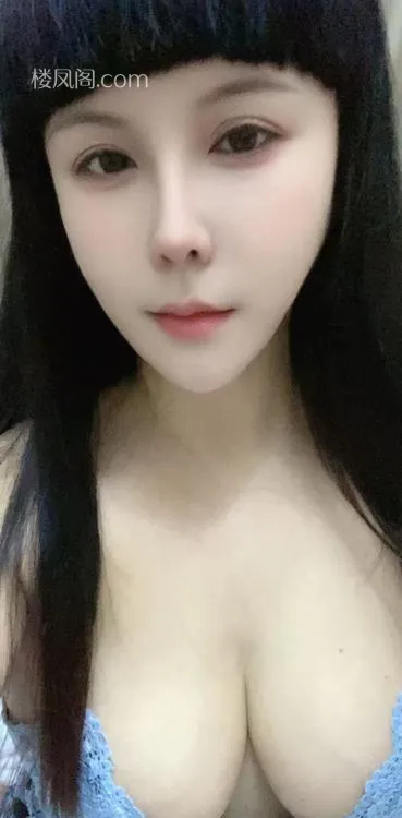 全国免费楼凤资源