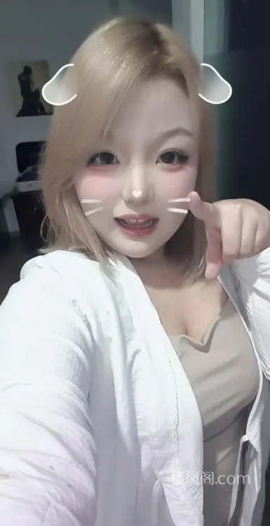 全国免费楼凤资源