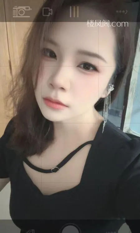 全国免费楼凤资源