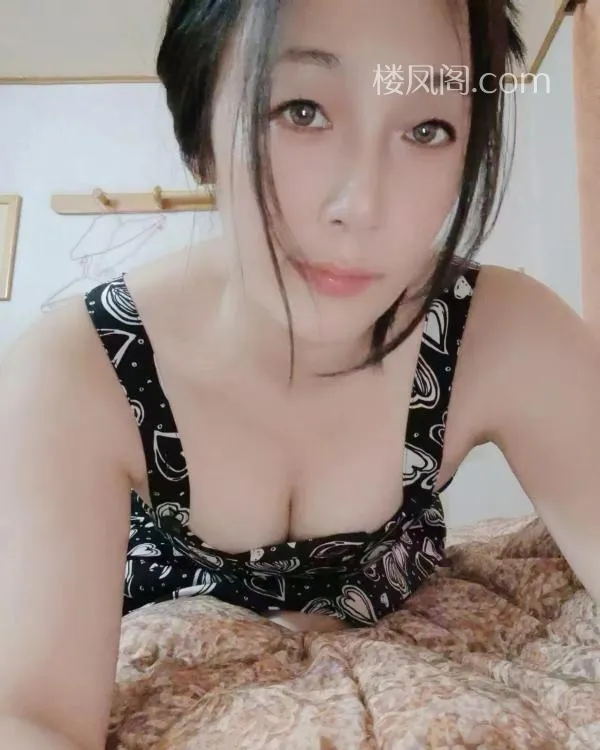 全国免费楼凤资源