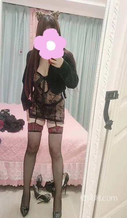 全国免费楼凤资源