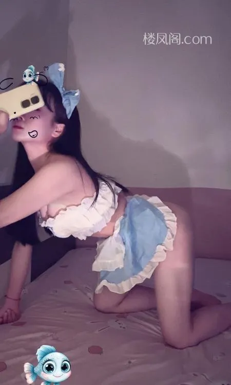 全国免费楼凤资源