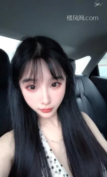 全国免费楼凤资源