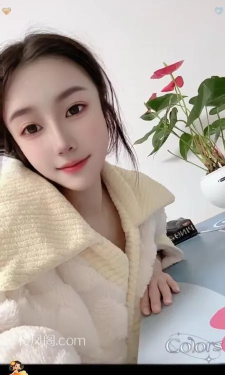 全国免费楼凤资源