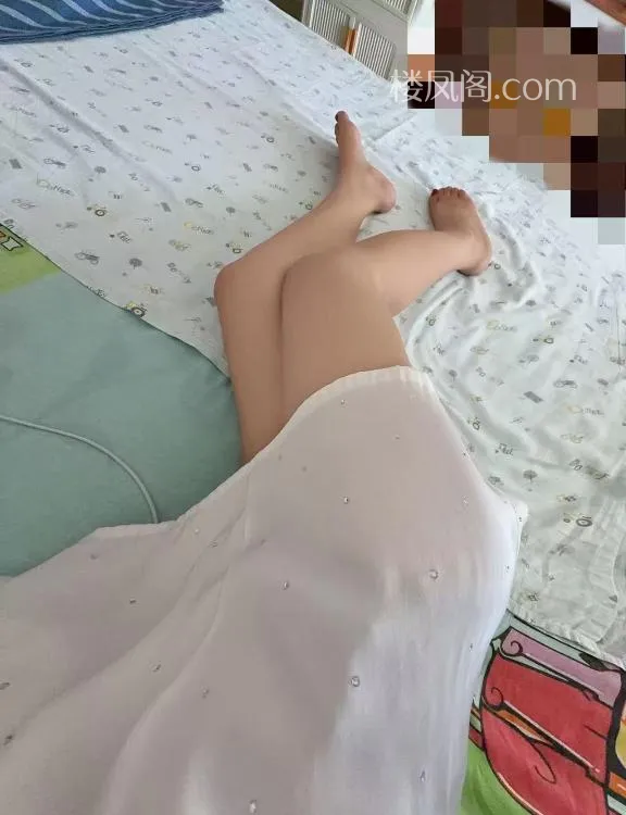 全国免费楼凤资源