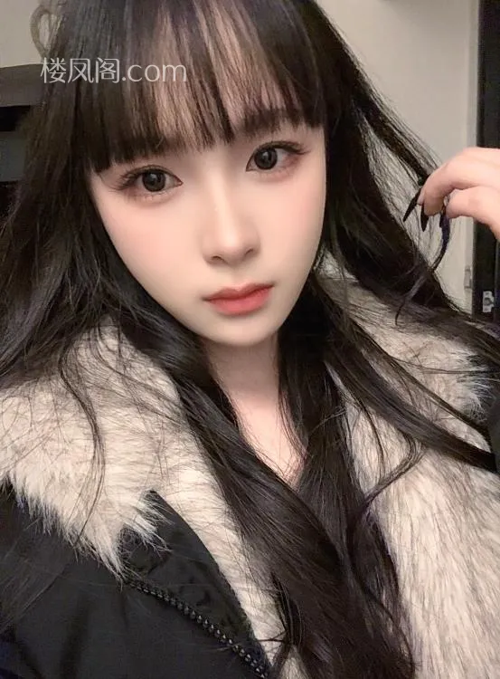 全国免费楼凤资源