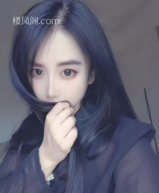 全国免费楼凤资源