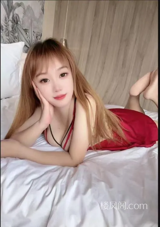 全国免费楼凤资源