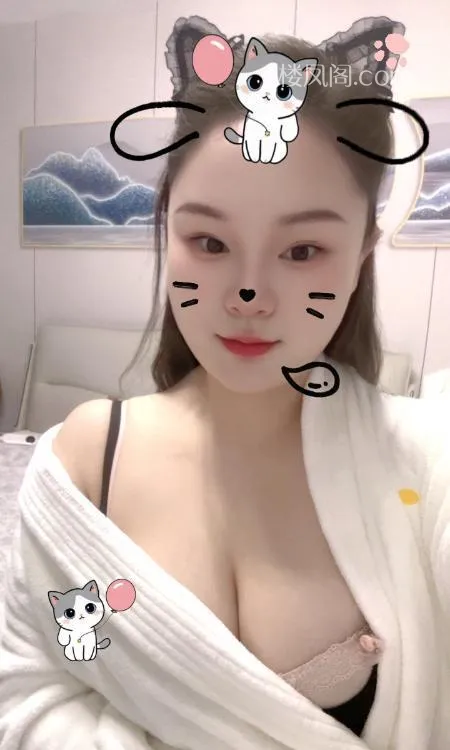 全国免费楼凤资源